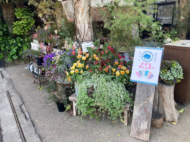 きれいなお花たちにかこまれていたのは
