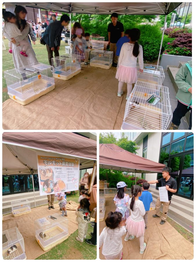 【モルモット飼育体験①】コーナーを発見！！たくさんの子どもたちが親子でモルモットのお世話体験に参加していました
