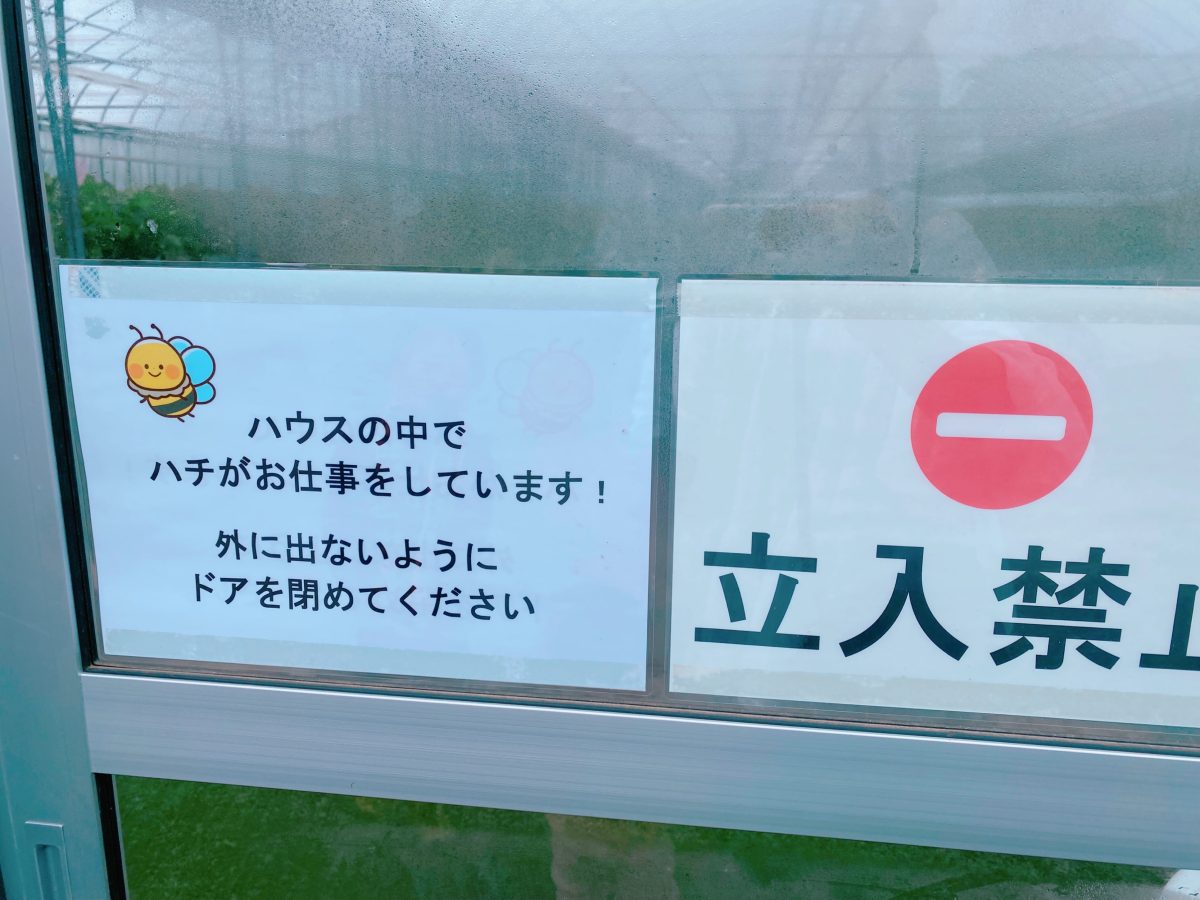 ハウスの注意書きもしっかりチェック！入り口に消毒用マットがあるのでしっかり踏んでから入ります
