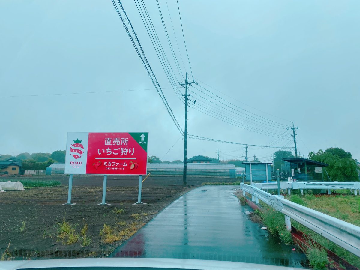 柏インターから約5分ほど車で走ると【ミカファーム】の看板が見えてきます、看板の100m先に駐車場があり、駐車場から約50m歩くと農園に到着です