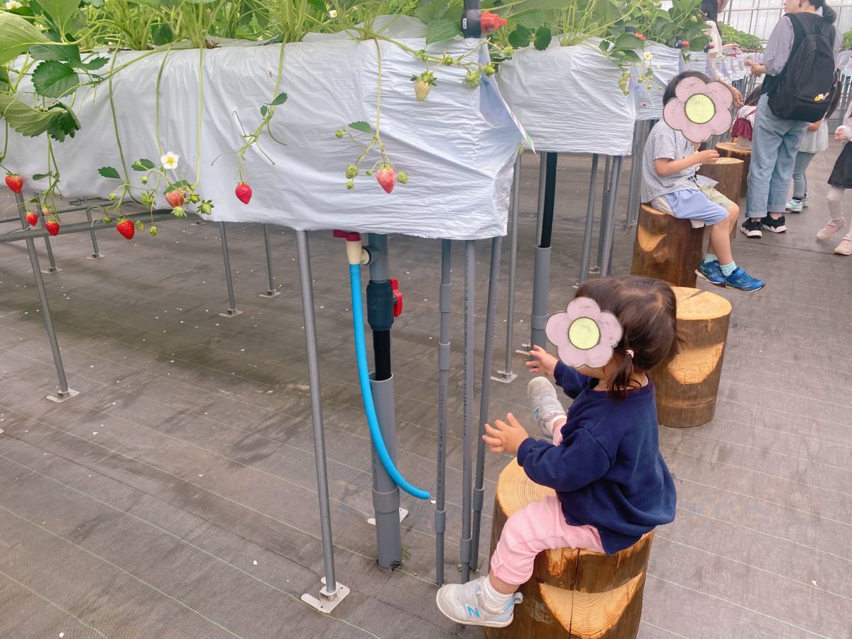 40分体験時間があるので、慌てずにゆっくり過ごせました〜写真もたくさん撮れて春の思い出が増えました〜