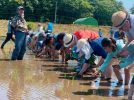 【流山市】はじめての田植え体験！親子で感じた自然と食の大切さ【流山お田んぼクラブ】体験レポートvol.1