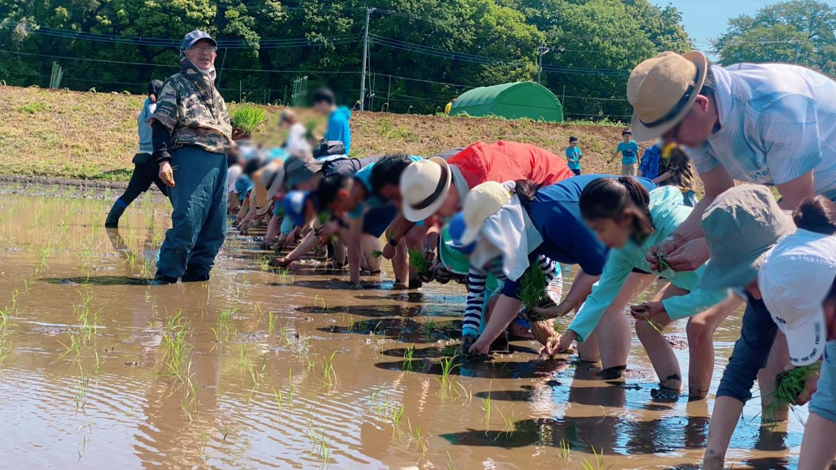【流山市】はじめての田植え体験！親子で感じた自然と食の大切さ【流山お田んぼクラブ】体験レポートvol.1