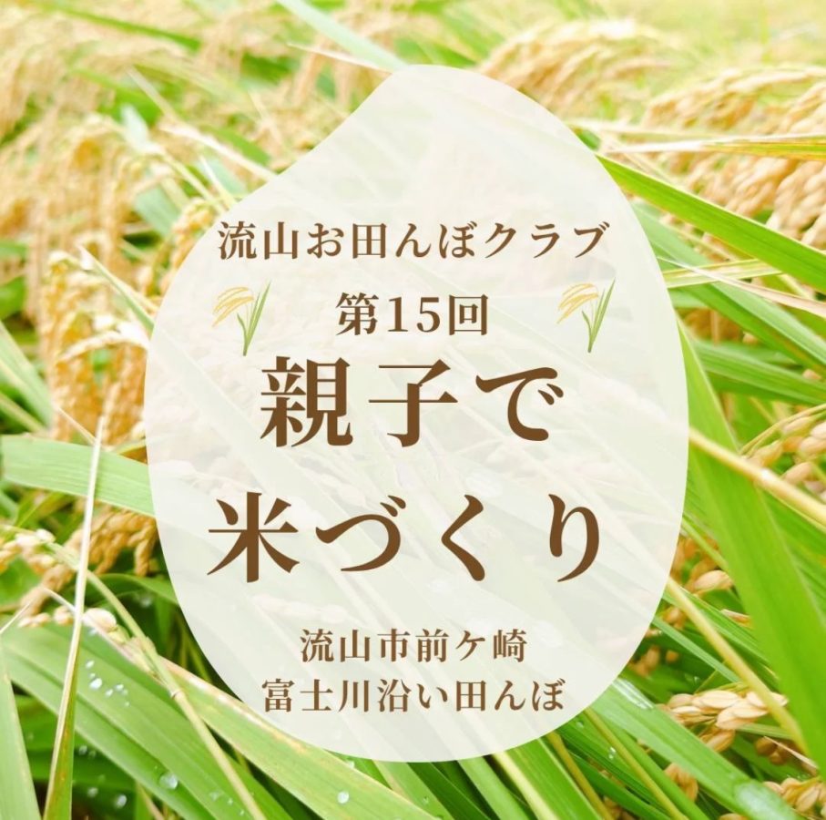 募集定員は、先着30組（田植えと稲刈り両方に参加できることが条件/お子さまの参加は年長（5歳）以上）〜画像は〝流山お田んぼクラブ″より提供〜
