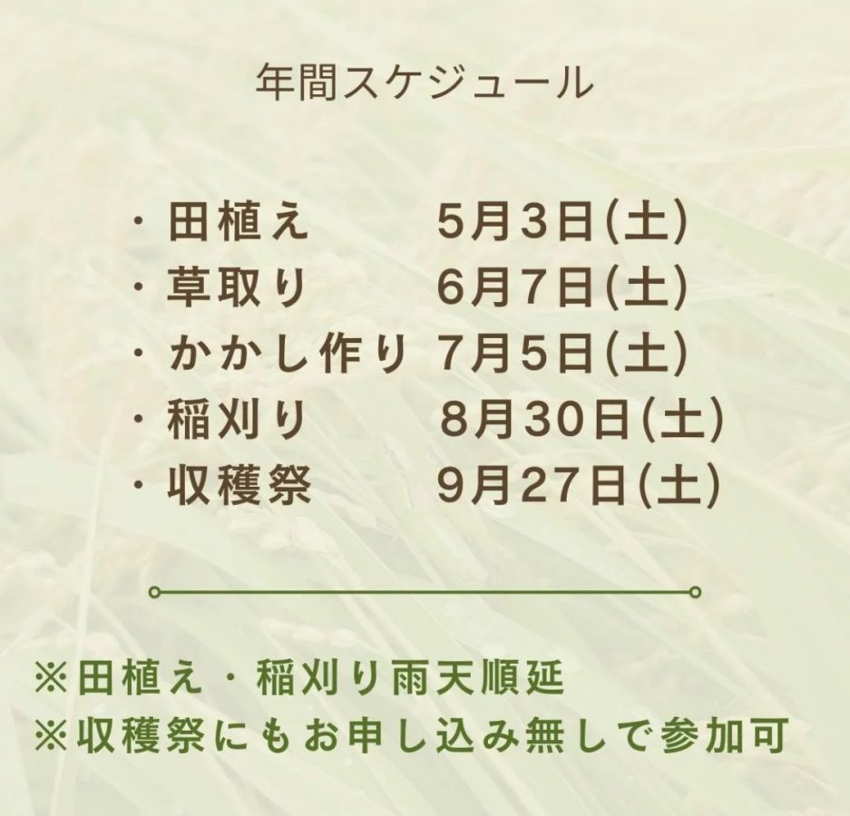 【年間スケジュール】〜画像は〝流山お田んぼクラブ″より提供〜