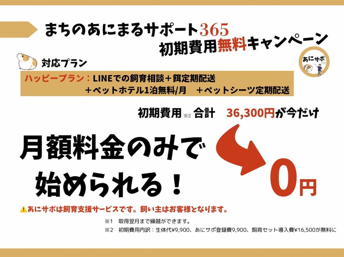 初期費用無料キャンペーン中！月額料金のみで始められるスペシャルキャンペーンはまさに『安心』と『現実的なサポート』が整っています《画像はまちの動物園より提供》