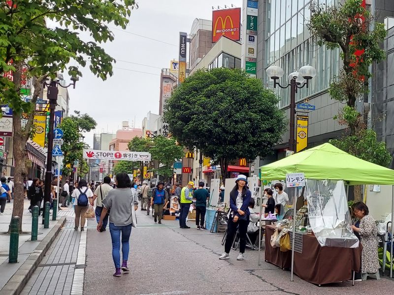 写真手前のブースは、社会参加に協力者が必要な方などの手作り作品の展示販売支援をしているリンデンさん。ステキなグッズがたくさんあるので、ぜひのぞいてみてください！（柏市民活動フェスタ2024より）