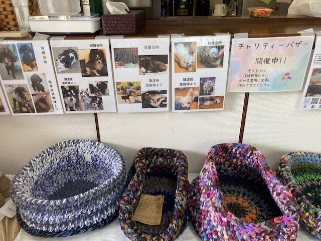 展示パネルと、色柄や大きさもさまざまな犬猫用クッション。これらの売り上げが活動資金になります