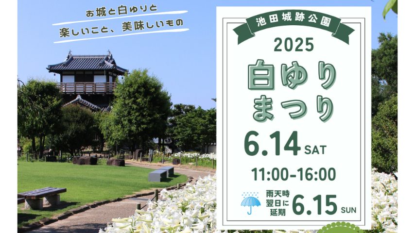 【池田市】白ゆりが咲き誇る初夏の一日。「白ゆりまつり2025」が6月14日(土)開催＠池田城跡公園