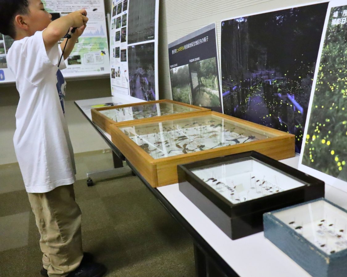 パネル展示で知った、豊中のホタルと自然のつながり。「大事にしないとね」と息子も実感！