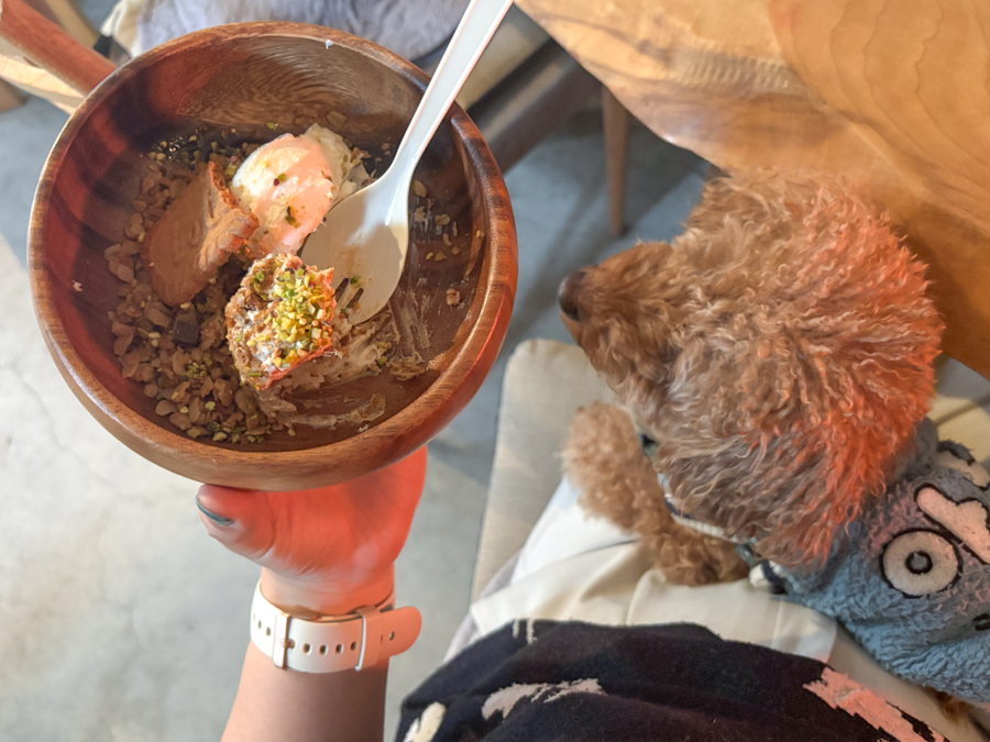 【豊中市】看板犬がお出迎え♪韓国で話題のグリークヨーグルト専門店「Cafe Bee」