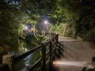 【箕面市】え、こんな簡単に見れるの...？箕面の滝でホタルを見てきました！