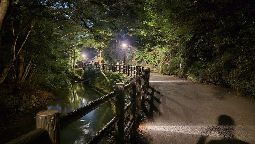 【箕面市】え、こんな簡単に見れるの…？箕面の滝でホタルを見てきました！