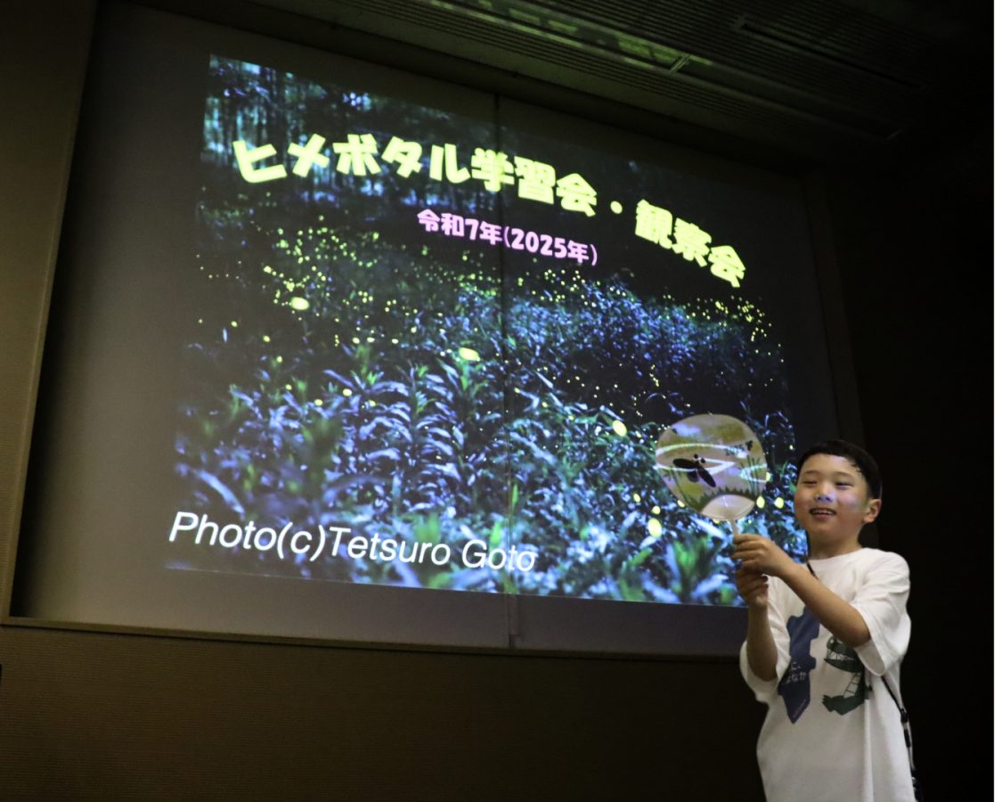 学習会・観察会スタート！ヒメボタルとの出会いにワクワク！