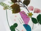【茨木市】茨木の植物でしおりを作ろう！「四季をめぐる」さんのワークショップに参加しました