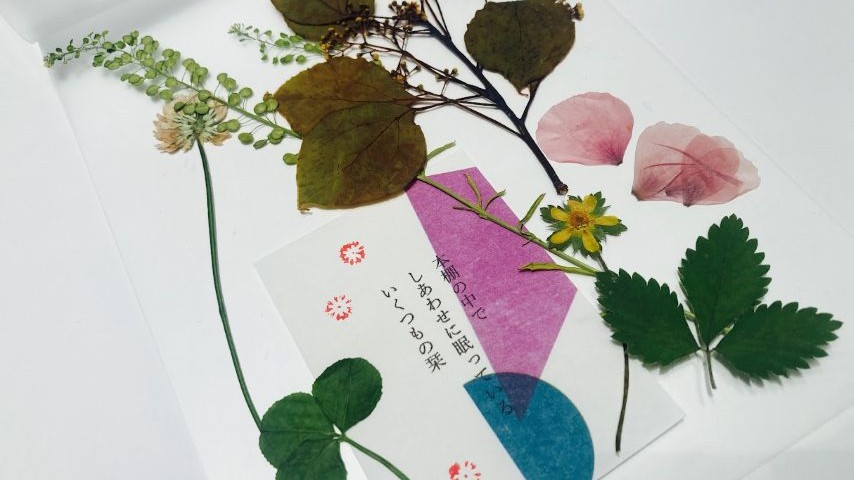 【茨木市】茨木の植物でしおりを作ろう！「四季をめぐる」さんのワークショップに参加しました