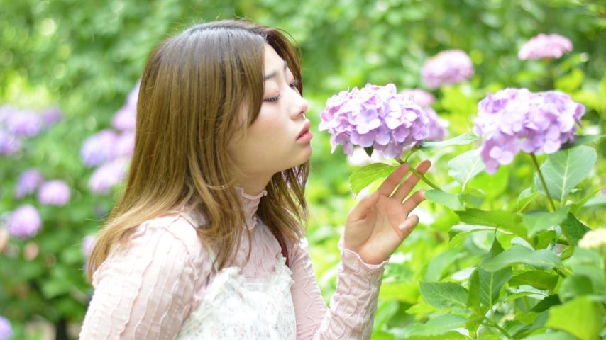 【松戸市】あじさい寺本土寺の撮影スポット5選
