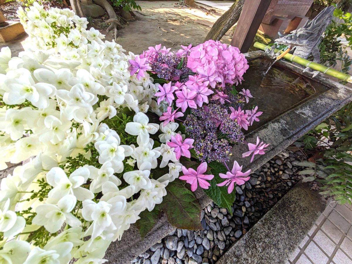 柏諏訪神社の手水