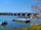 【柏市】沼南と我孫子をつなぐ手賀沼の渡し舟の名称を問う出題～オンライン柏学検定振り返りvol.16～