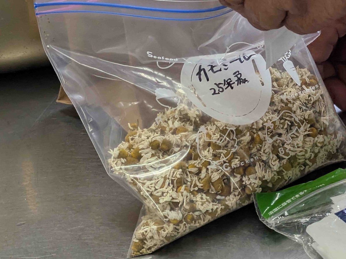収穫したカモミールで作ったカモミールティーもふるまわれました。
