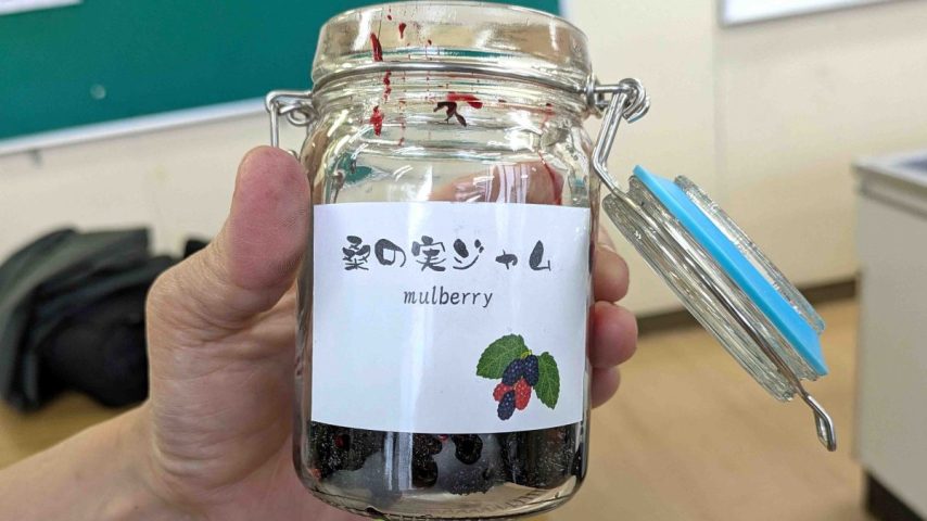 【柏市】桑の実のジャム作りに参加しました♪