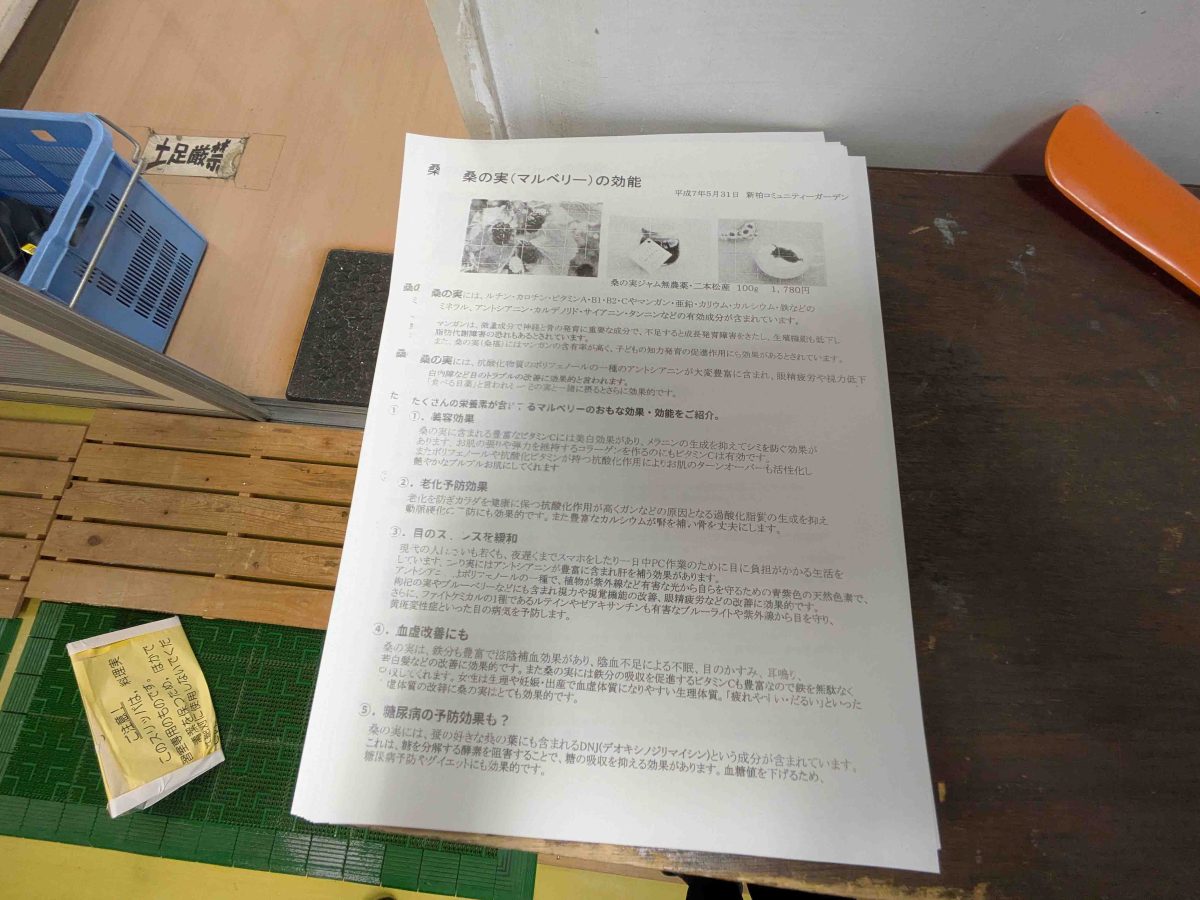 桑の実にはいろいろ効能があるようです。