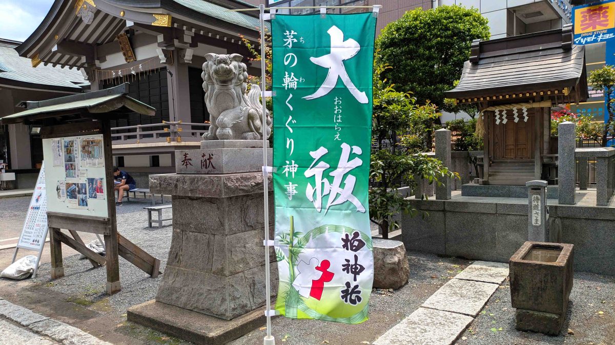 【柏市】令和7年6月28日(土) 夏越大祓（なごしおおはらい）で疾病厄災除祈願！＠柏神社