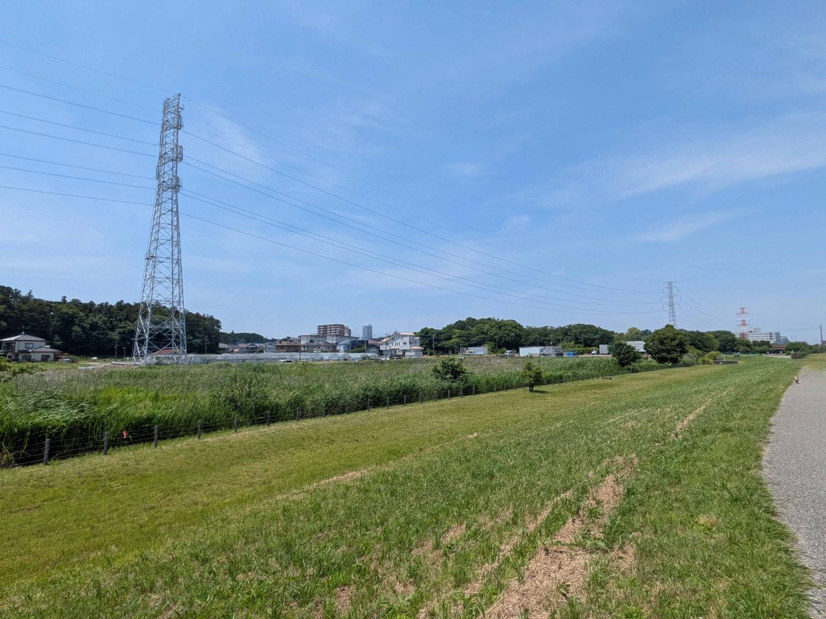 手賀沼自然ふれあい緑道から見た柏中村下。右奥が柏ふるさと公園。