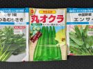 【柏市】夏野菜の種まき～6月にオクラ、エンサイ、ツルムラサキの種をまきました～