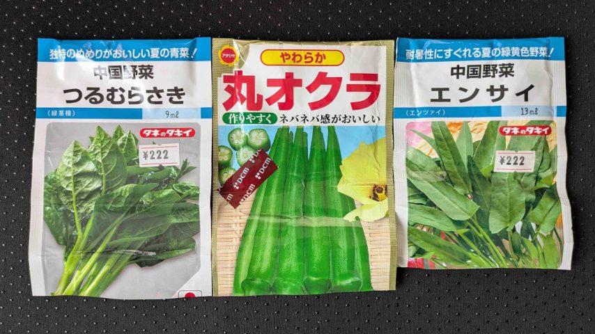 【柏市】夏野菜の種まき～6月にオクラ、エンサイ、ツルムラサキの種をまきました～