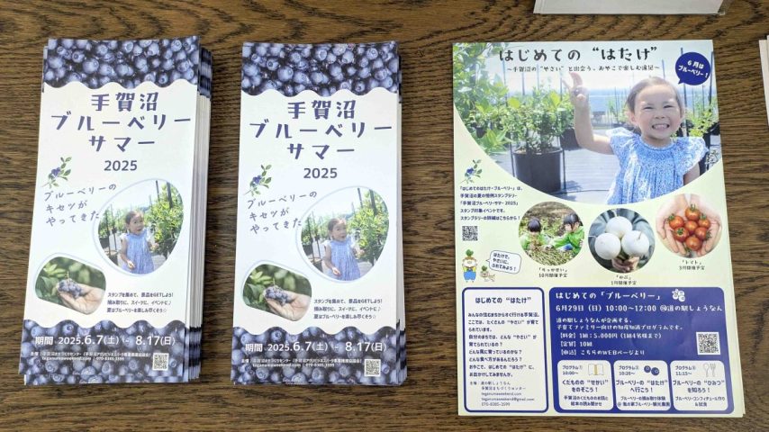 【柏市】【我孫子市】手賀沼ブルーベリーサマー2025開催中！（6月7日～8月17日）