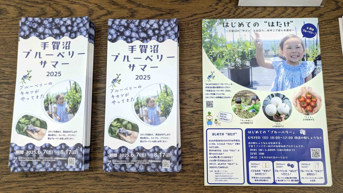 【柏市】【我孫子市】手賀沼ブルーベリーサマー2025開催中！（6月7日～8月17日）