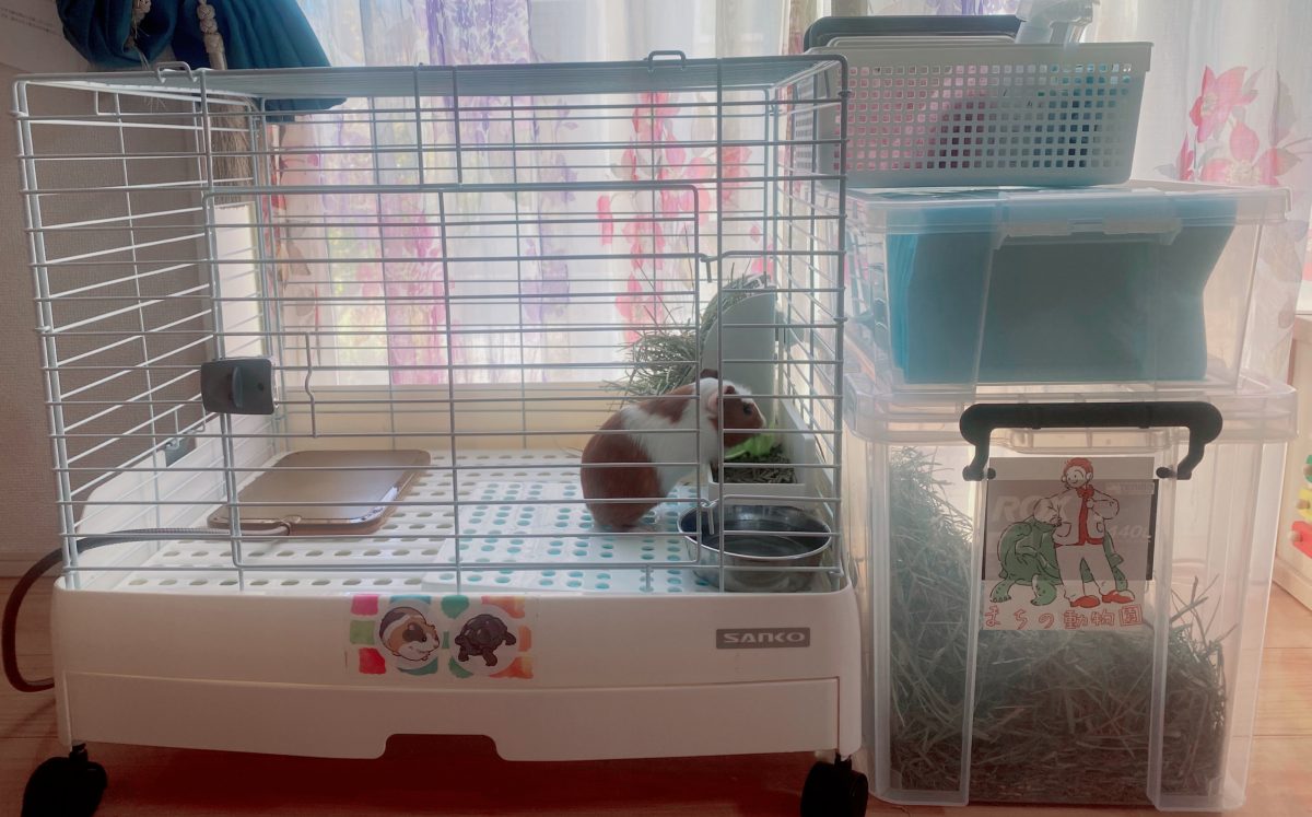 はじめてでも安心！わが家の飼育スタート時の様子〜ケージ・餌皿・餌・ペットシーツまで必要なものは全部揃っていて感動〜！こちらで用意したのは、計り（餌計量用）消臭スプレー・消臭剤（必須ではありませんがわが家は用意）お掃除用ウエットシートでした