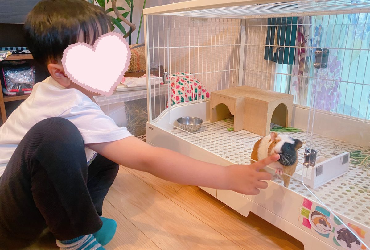 名前を呼ぶとトコトコ…！ 少しずつ距離が縮まって、今では自分から近づいてきてくれるように♡