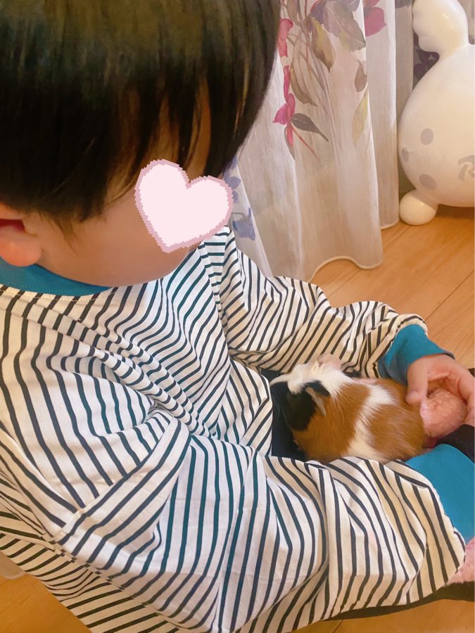 息子が初めて抱っこに成功！