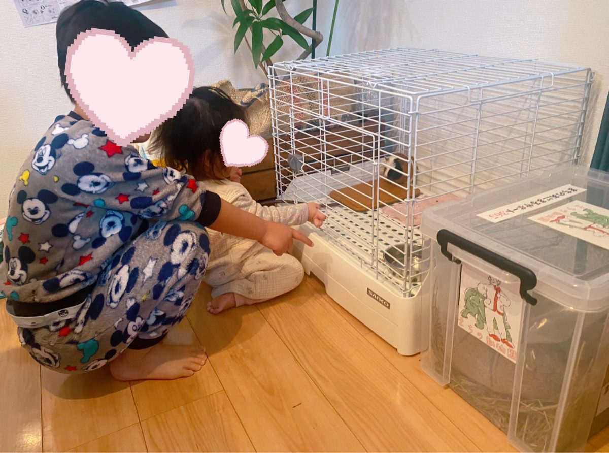 「おはよう、サイダー！」 朝起きて一番に会いに行くのが日課に。2人の“おはよう”に、毎朝ほっこり癒されます♡