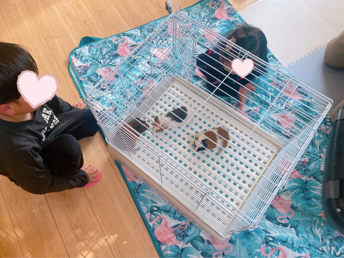 1月生まれのかわいい3兄弟がやってきた♡ どの子にしようか…家族みんなでドキドキのご対面！