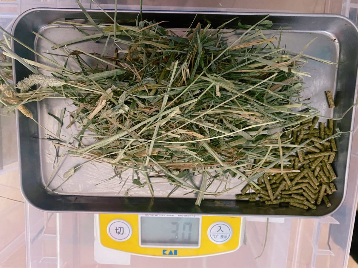 スプーンでチモシーとペレットをきっちり計量！ 餌の準備は観察力と責任感を育む大事な時間♪