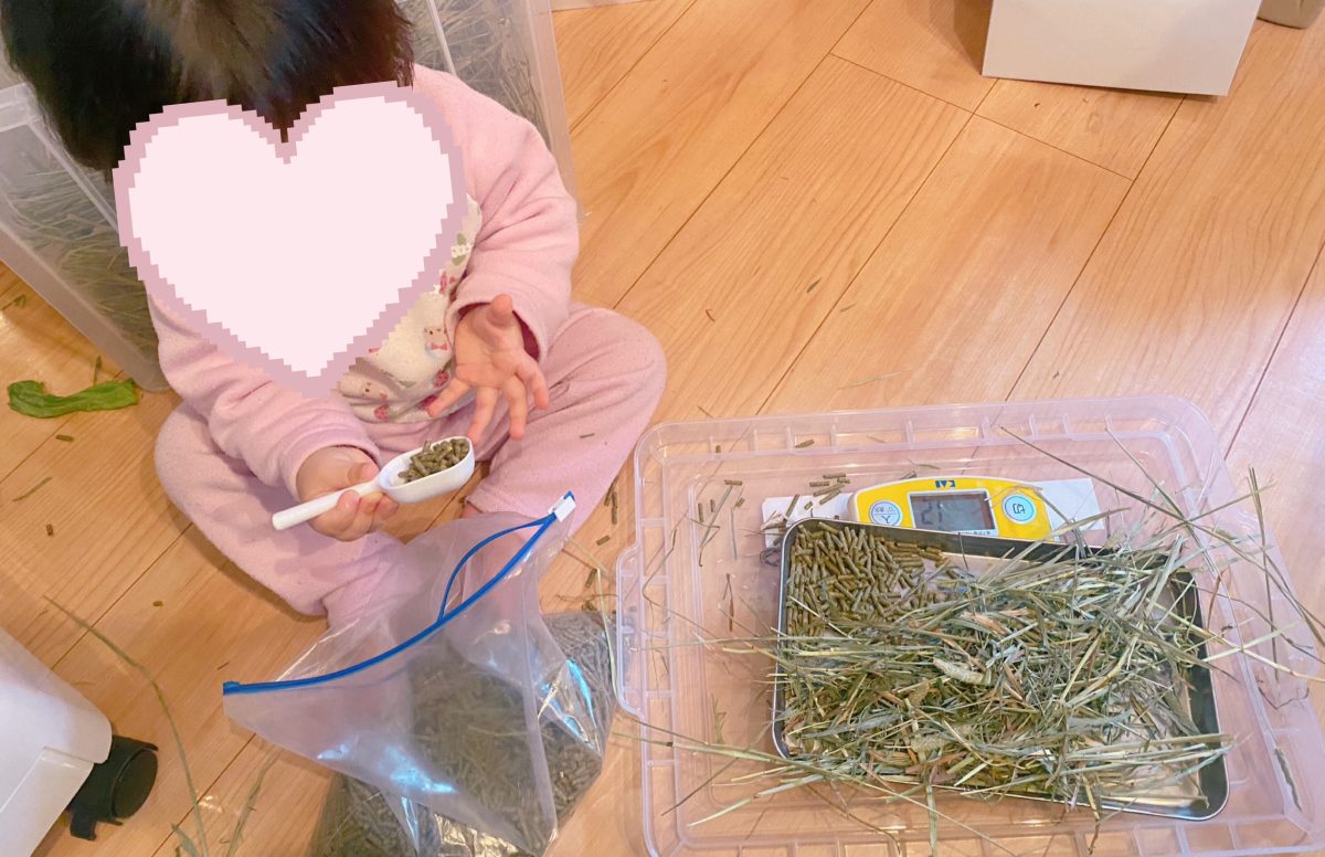 「じぶんで！じぶんで！」 餌やりに興味津々な1歳娘。チモシーもペレットも、真剣にお手伝い中♪