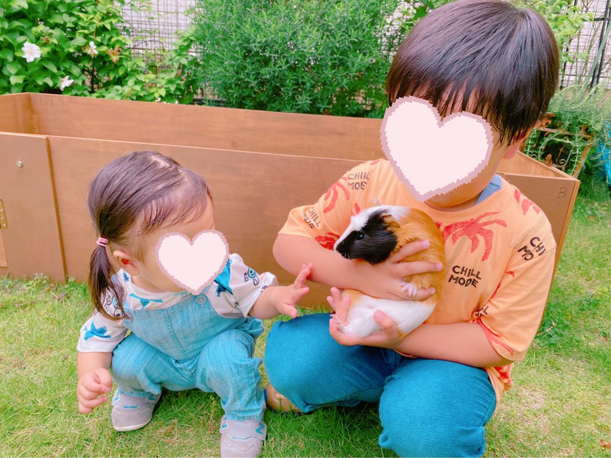 サイダーが来てもうすぐ4ヶ月♩笑顔で抱っこするお兄ちゃんと、そっと寄り添う妹♡これからも、わが家の“愛モル生活”がますます楽しみです♡