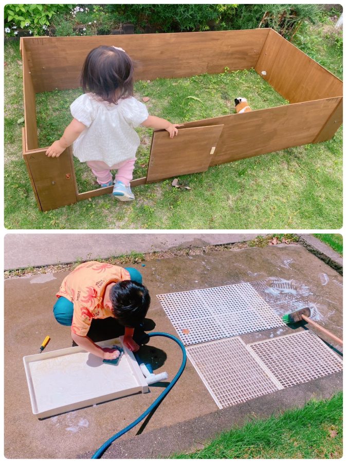 じいじの愛情たっぷりDIY！ サイダーくん専用のお庭サークルが完成して、お外時間もさらに快適に♡ 「お掃除も任せて！」息子がケージをお庭でお掃除〜「サイダーのために、きれいにしなきゃ！」 最後までしっかりがんばった息子に拍手！