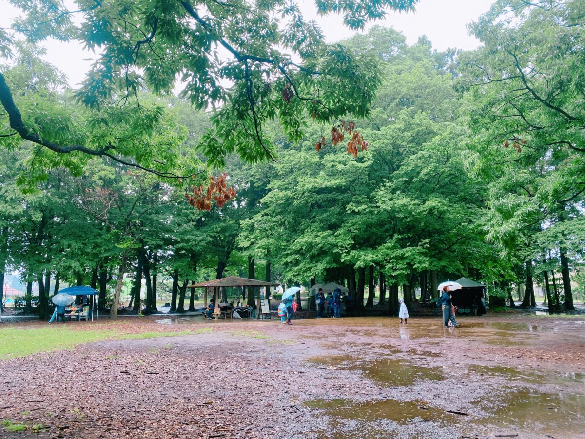 雨の森は、静かでやさしい〜しっとりと濡れた木々、水たまりに映る空、すべてが美しかった〜