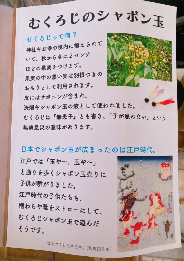  「江戸時代の子どもたちも、こんな風にシャボン玉を吹いていたのかも」 むくろじとともに、時をこえてあそびがつながる
