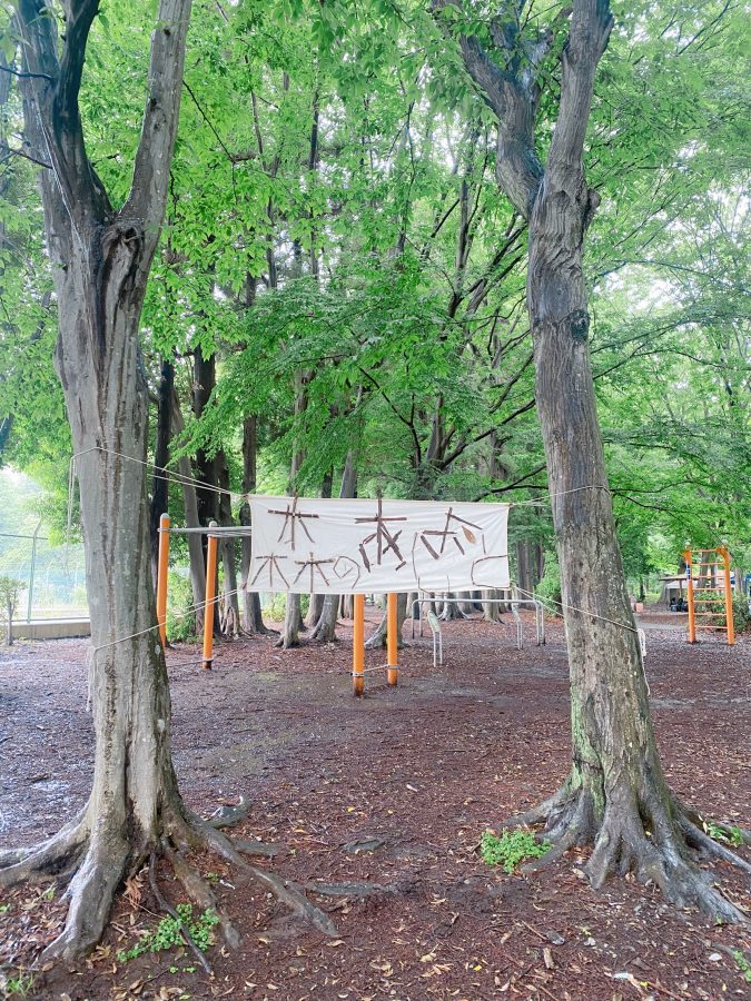 ザァザァという雨音も、森にとけて心地いい・濡れた森は、いつもとちがう顔、しずく・ひかり•雨の音——会場に一歩入ると五感で感じる森の時間が動き出しました〜