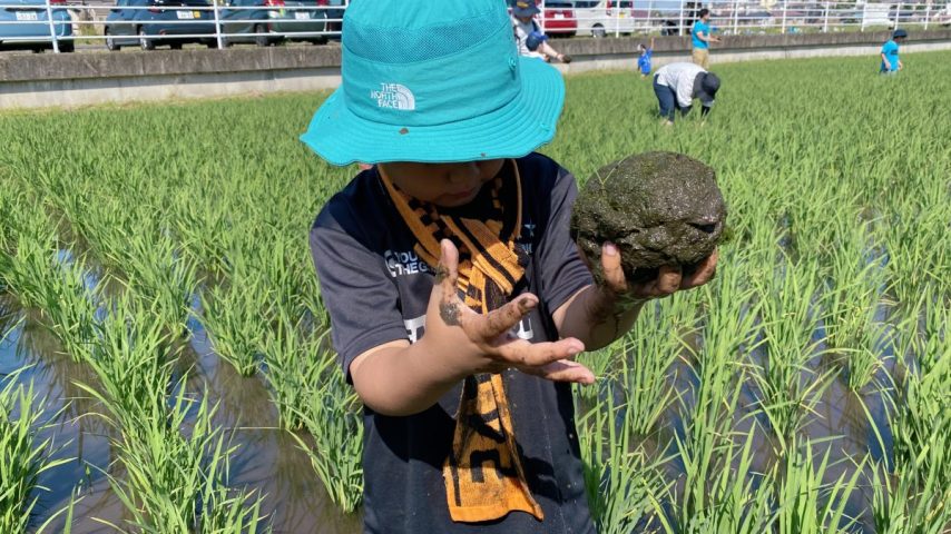 【流山市】〝流山お田んぼクラブ体験レポートvol.2〟田植えから1ヶ月、親子で学ぶお米ができるまで〜草取り編〜
