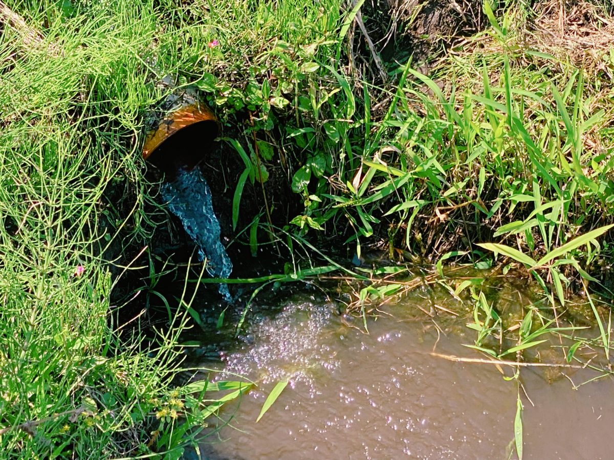 「自然の水道、また来たよ！」〝ここだよ！冷たくて気持ちいい井戸水♪〟田植えのときに見つけた息子お気に入りのスポットです