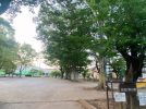 【流山市】夏の夕方さんぽにちょうどいい♩1歳&6歳と『美田2号公園へ』〜ママの公園開拓レポート〜
