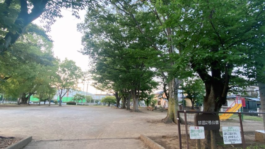 【流山市】夏の夕方さんぽにちょうどいい♩1歳&6歳と『美田2号公園へ』〜ママの公園開拓レポート〜