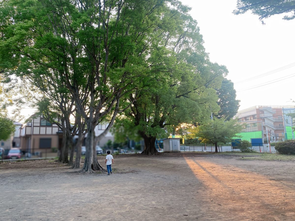 「夕方の木漏れ日がやさしい〜涼しい風も気持ちいい〜」