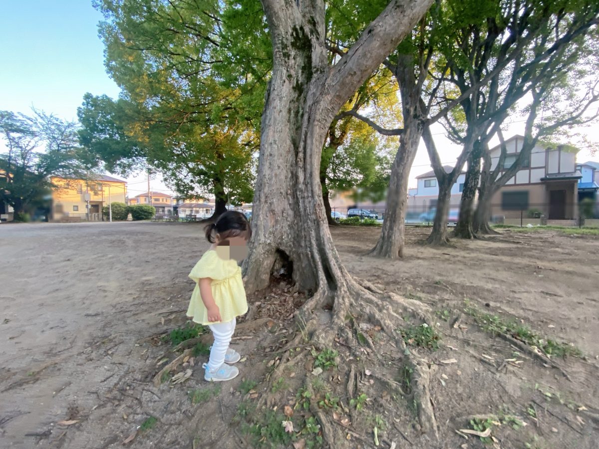 「木の根っこでバランスとったり、落ち葉を集めたり・小さな自然遊びが広がる場所」